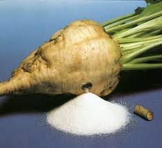 Refined Beet Sugar