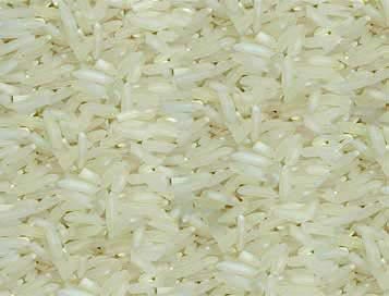 Hard Organic Parboiled BPT Rice, For Cooking, Feature : Gluten Free, High In Protein