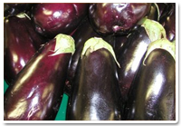 Eggplant