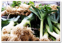 Fresh Vegetable Leek Herb