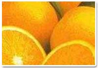 Orange, Country of Origin : India