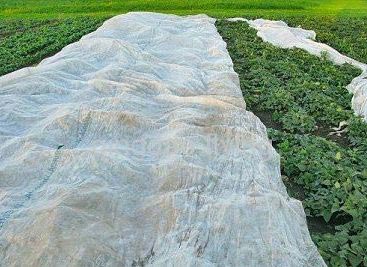 Nonwoven Mulching Fabric