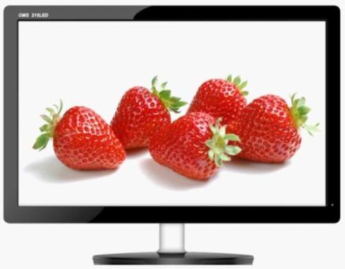 18.5inch LED Monitor