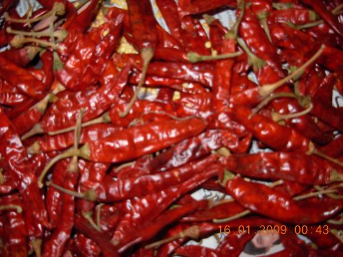 334 Dry Red Chilli
