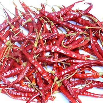 Dry Red Chilli