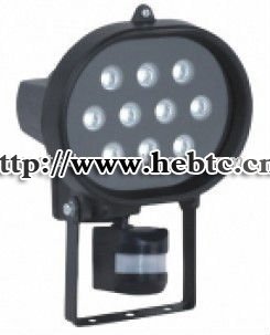 10w LED Flood Light For garden,square,IP44 BE-LED-23910