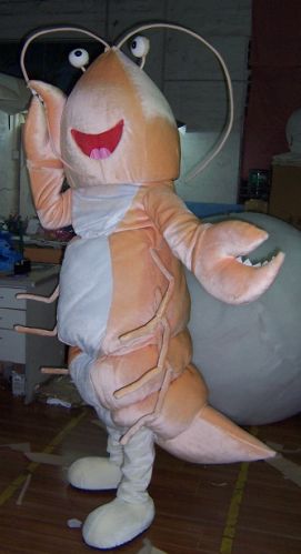 Custom Mascots Costumes