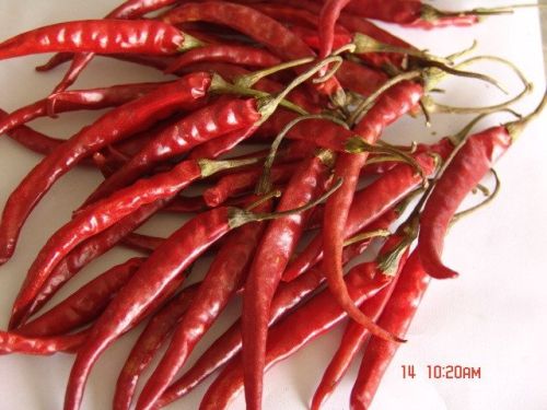 Dry Red Chilli