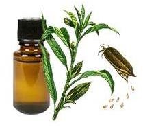 Sesame oil, Nutrients : Antioxidants,Vitamin E,Healthy Fats