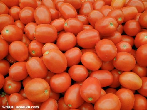 Fresh Tomato, Color : Red