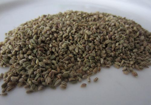 Organic Ajwain