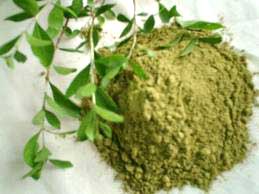 Henna powder, Purity : 99.9%, 100%