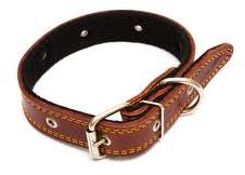 Dog Collars 02