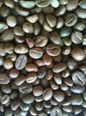 Green Coffee Beans