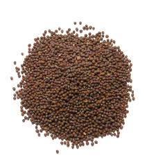 Mustard seeds, Purity : 99.9%