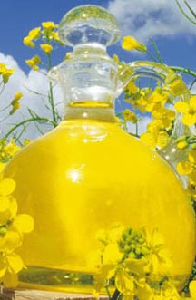 Agriculture Plants Oil