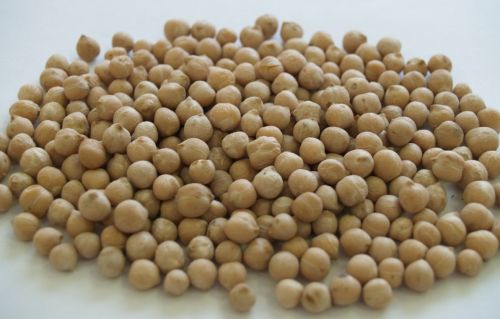 Chickpeas, Packaging Type : Plastic Packet