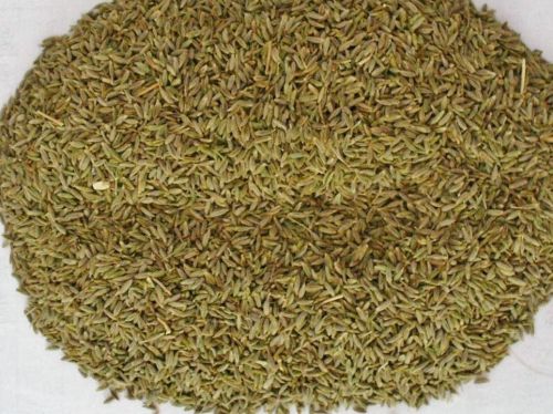 Cumin seeds