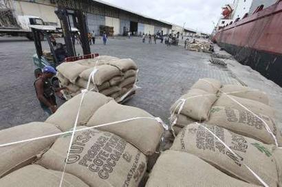 Cocoa, Packaging Type : brown