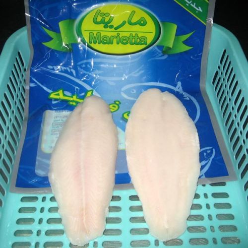 Pangasius Fish