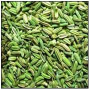 Fennel Seeds