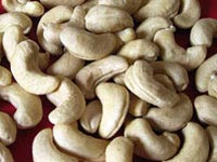 Cashew nuts, Packaging Type : white wholes