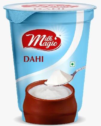 Milk Magic Dahi