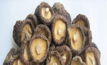 Dried Mushrooms