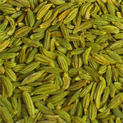 Fennel seeds, Packaging Type : PP bags