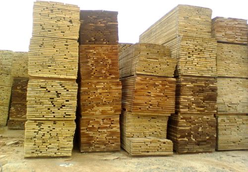 Timber Logs