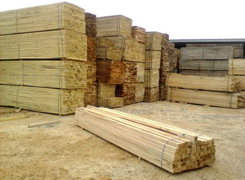 Timber Logs