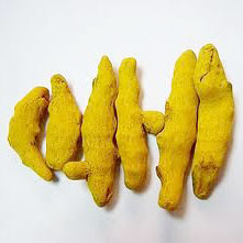 Turmeric finger, Packaging Type : PP Bags
