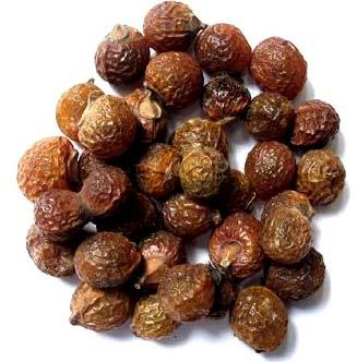 Soap Nuts