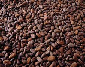 Roasted Ariba Cocoa Beans, Brand Name : pualmalion