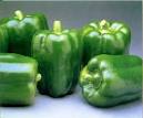 Green Pepper