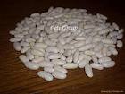 White Beans