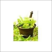 Kewra Water, Form : Liquid