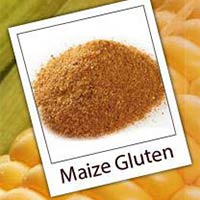 Maize Gluten