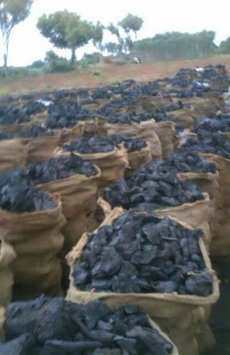 Wooden charcoal, Moisture : 10%