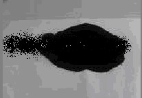 Carbon Black Form : Powder