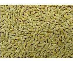 Animal Feed, Bird Feed