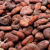 Dry Cocoa Beans