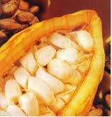 Dry Cocoa Beans