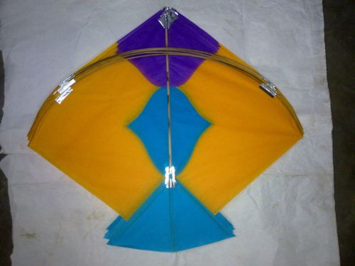 Indian Fighter Kite