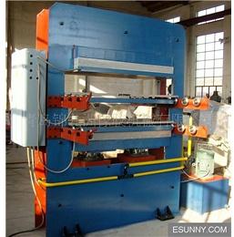 Large Plate Vulcanizing Press