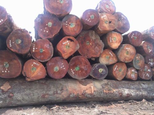 Lumber Round Logs
