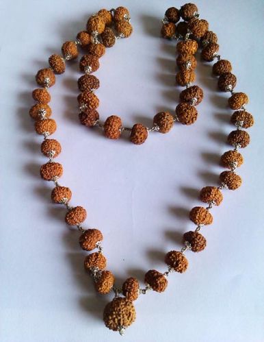 Eight Mukhi Rudraksha Mala