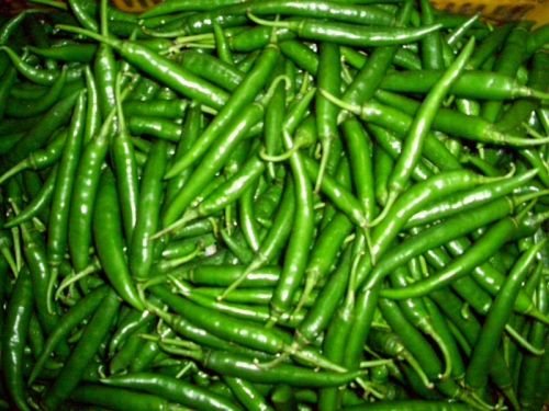 Fresh green chilli, Packaging Type : Green
