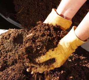 Organic Manure