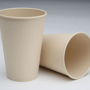 Paper Cup